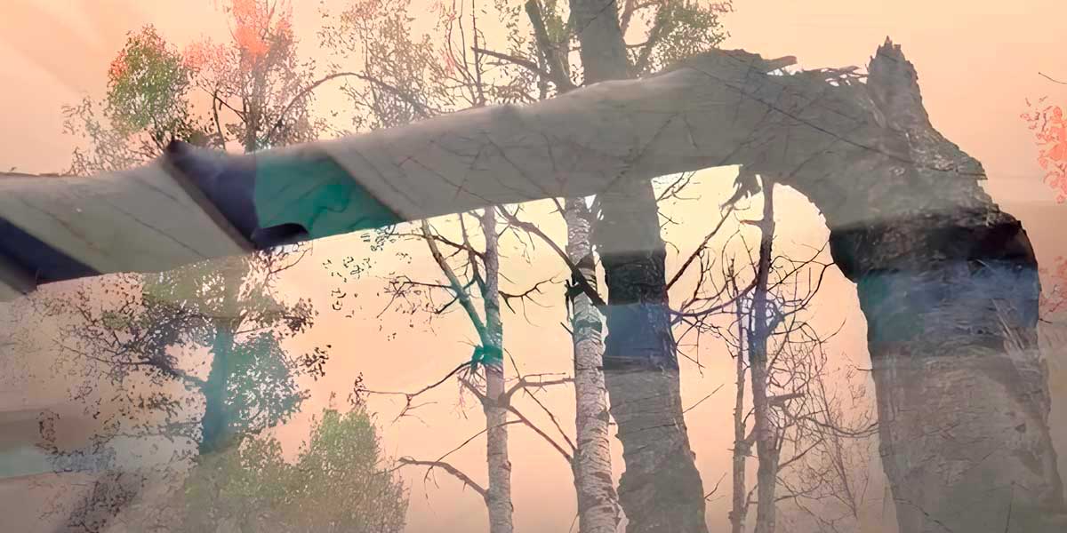 Memorias del Bosque | Cierre de muestra Abismos